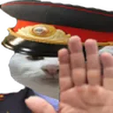 kameru_virubai