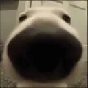 Capturadetela20240813171250