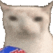 Cat_Eat