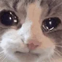 ImNotCrying ImNotCrying