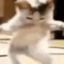 twerk