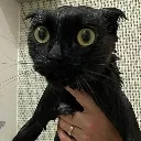 emoji_22