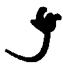 wiggly