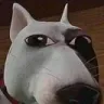 maan maan