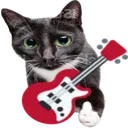 guitarcat