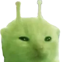 glorp glorp