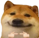 9081dogeshy custom emote | Madras Gaming Society