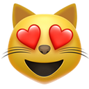 :69142iossmilingheartcat: