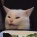 cat_confused Discord emoji