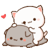 cat19