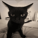 :56527cat: