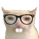 _catnerd _catnerd