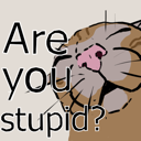 rustupidcat Discord emoji