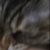 CatBite