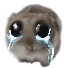 sadderhamster