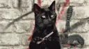 blackcat