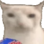 catpopcorn catpopcorn