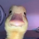 emoji_83