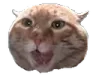 mrsnacksteamhappy