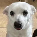 beso_peek