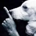 hush