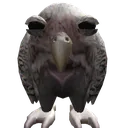 45104cutewetowl
