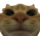 whatcat