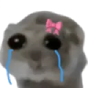 HamsterCry_SINNERSandSAINTS