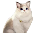 PsyCat_Stare_2
