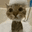 bathcat