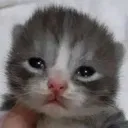 emoji_40
