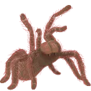 threatpose