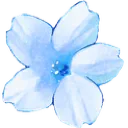 flowerblue
