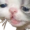 __