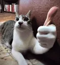 ok