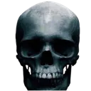 hewhoshallnotbenamedskull