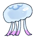 jelly