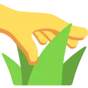 touchgrass