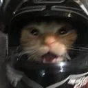 CatBiker
