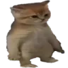 huh