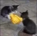 handshake