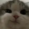 smirk