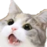 catWa
