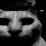 dreadfulcat