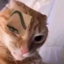 que que