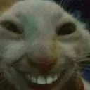 facereveal