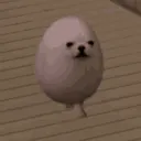 eggdog_dance
