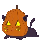 5859pumpkincatscared