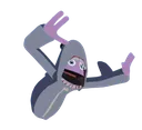 Shark Shark