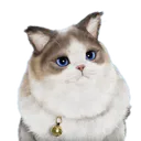 Psycat_4
